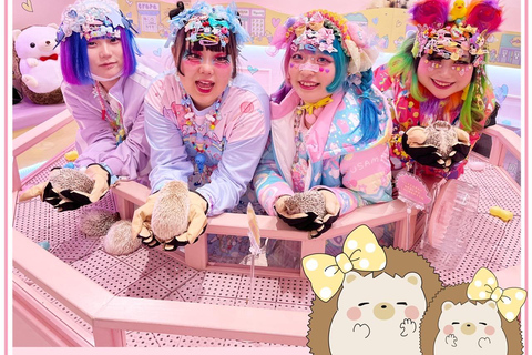 Very popular in Harajuku♡Animal petting zoo