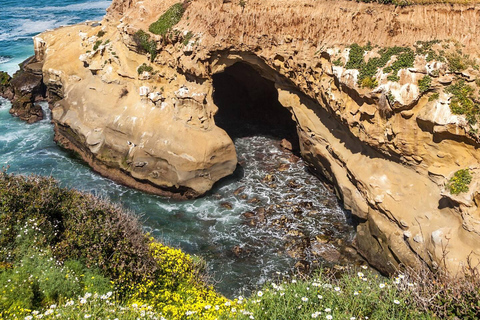 La Jolla - Le Joyau de San Diego - tour guidé à pied