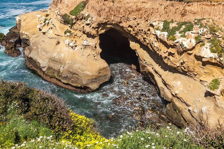 La Jolla - Le Joyau de San Diego - tour guidé à pied