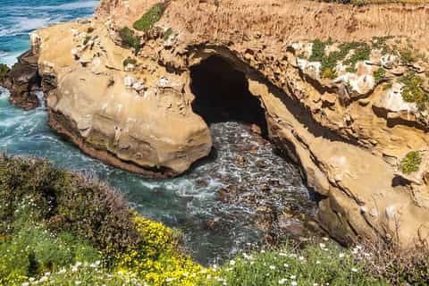 The best La Jolla Walking tours 2026 - Free cancellation