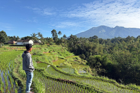 特特巴图：瀑布、香料、梯田、猴子森林特特巴图之旅、香料、瀑布、梯田、猴林