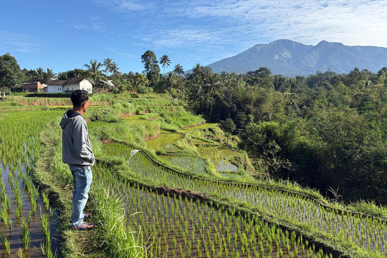 特特巴图：瀑布、香料、梯田、猴子森林特特巴图之旅、香料、瀑布、梯田、猴林