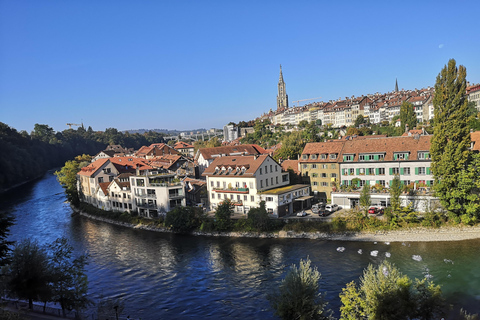 Vanuit Luzern: Dagtrip met de auto naar Genève