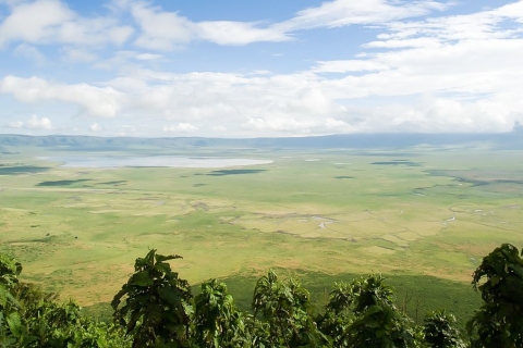 2 días 1 noche Tarangire y cráter Ngorongoro
