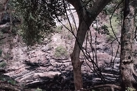 Bacalar: Calakmul ruins, jungle path & stop at the bat cave. Bacalar: Calakmul ruins tour jungle and the bat volcano..