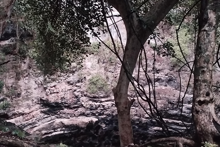 Bacalar: Calakmul ruins, jungle path & stop at the bat cave. Bacalar: Calakmul ruins tour jungle and the bat volcano..