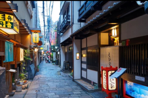 Osaka Highlights Tour: Castle, Dotonbori & Hidden Gems