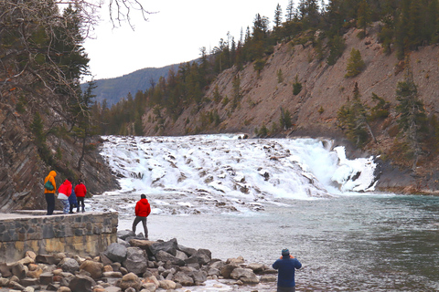 Vanuit Calgary: Banff National Park Premium Dagtour