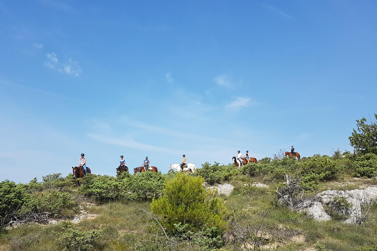Horseback riding in Provence Luberon