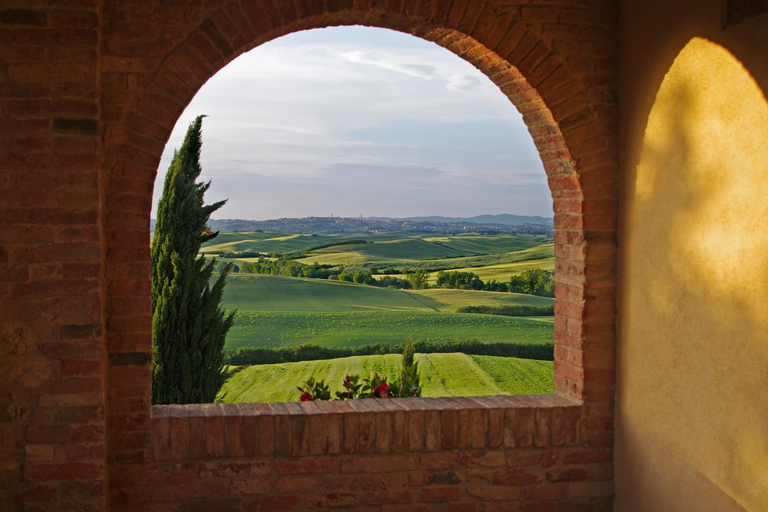 From Florence: Montepulciano, Pienza e Montalcino From Florence: Montepulciano, Pienza e Montalcino