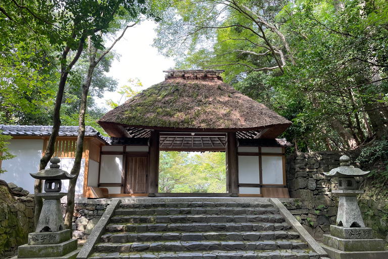 Kyoto: Fully customizable your own tour in the old capital