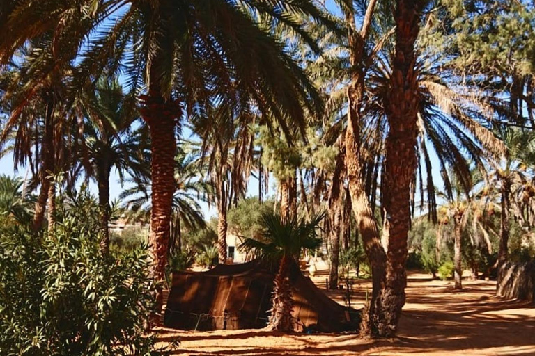 Full Day From Djerba: Ksar Ghilane Oasis & Star Wars Site by JEEP Day Trip from Djerba: Ksar Ghilane Oasis & Star Wars Site by JEEP