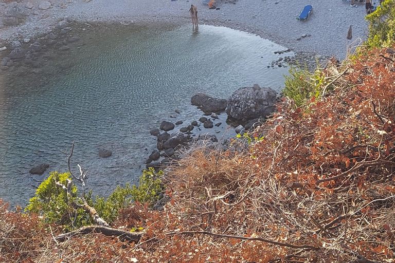 Corfú: Senderismo en olivares,pueblo,puesta de sol,con parada para nadarCaminata por la naturaleza sin traslado