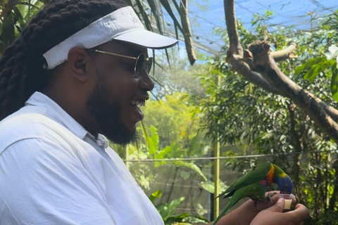 Private Guadeloupe Tour in a Premium SUV | English, German, Spanish & French Guadeloupe Private Tour in a Premium SUV | English, German, Spanish & French