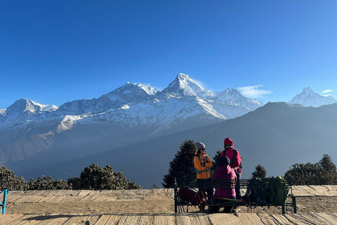 Pokhara: 5-Day Poon Hill Trek with Guide and Transfers