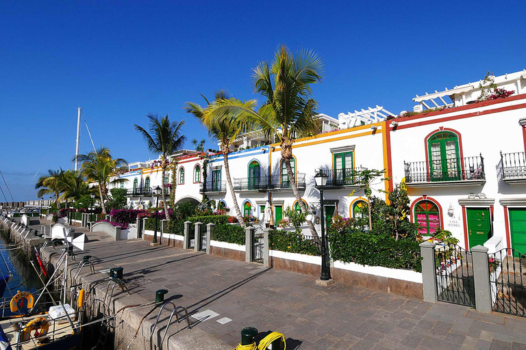 Essentials of the south of Gran Canaria Guided bus tour with pick-up from Las Palmas