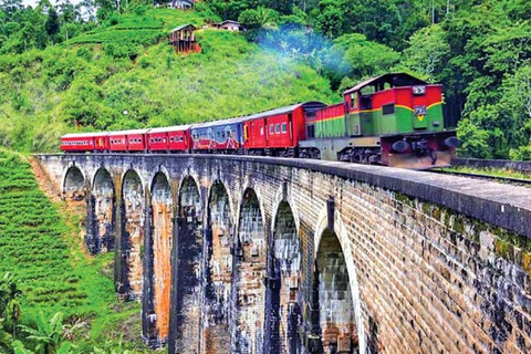 Explore o charme de Ella: Traslado de Tuk Tuk até a Nine Arch Bridge