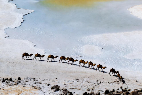 Mekele: Guided Dallol Danakil Depression Tour with Lunch