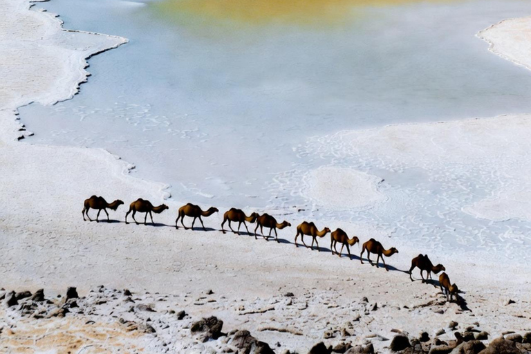 Mekele: Guided Dallol Danakil Depression Tour with Lunch