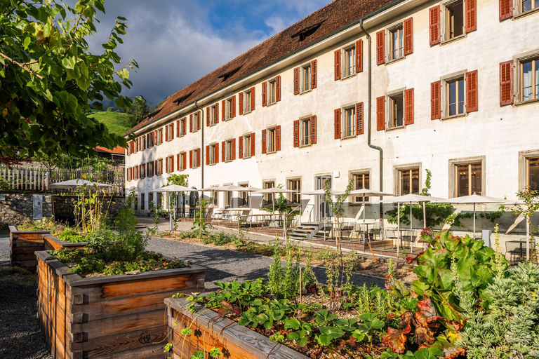 Alp Sbrinz Cheese Tasting – The Gold of the Alps