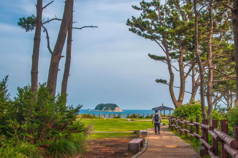 Jeju: UNESCO South & East Highlights 2 Days Combo Tour