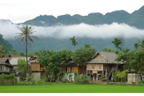Incredible Mai Chau - Puluong - Ninh Binh: 3 Days, 2 NightsShare a dormitory in Pu Luong and a private room in Tam Coc