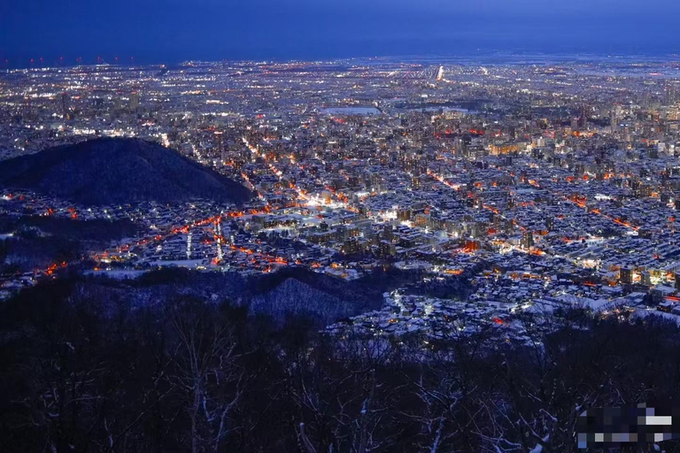 Sapporo: Otaru Day Trip-Mt. Tengu & Aquarium in small group start from Sapporo station