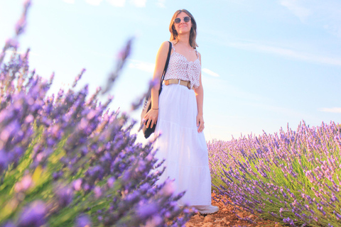 From Madrid: Brihuega Lavender Fields Guided Tour
