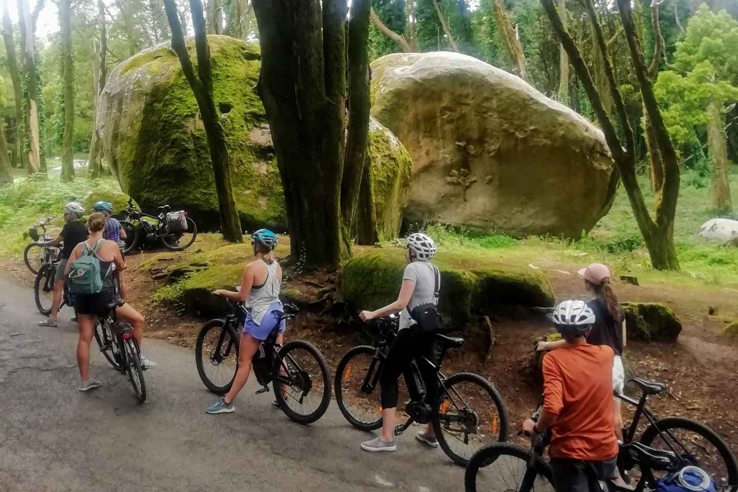 From Lisbon: Sintra and Cascais E-Bike Tour