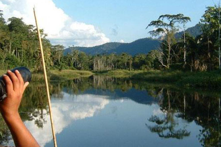 | From Madre de Dios | Night trekking in the Amazon jungle