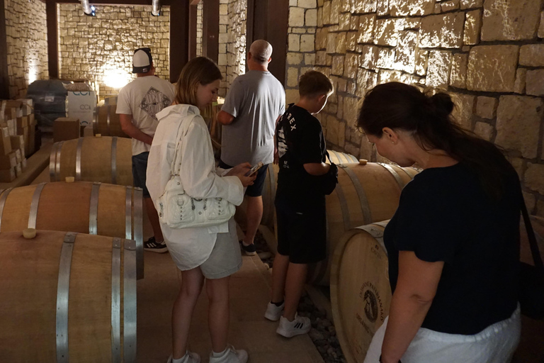 Creta: Passeio de dia inteiro pelos vinhos de Creta, azeite de oliva, raki e comidaCreta: vinho cretense de dia inteiro, azeite e excursão gastronômica