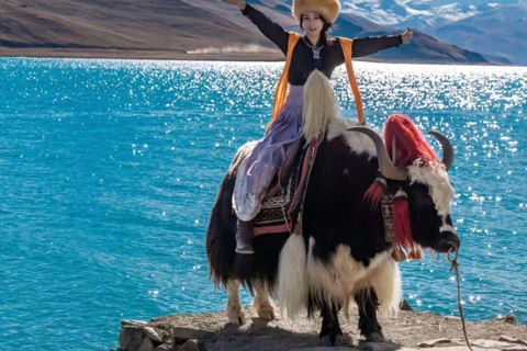 Aventura sob o céu estrelado do Monte EverestAventura no céu estrelado do Monte Everest