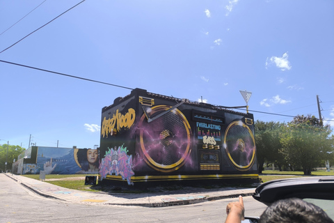 Miami: Private tour in a convertible Mustang in French