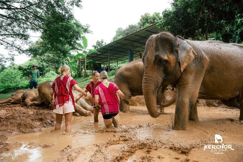 Phuket: Elephant Sanctuary Visit with Mud Spa & Workshop Afternoon: Elephant Sanctuary Visit with Mud Spa & Workshop