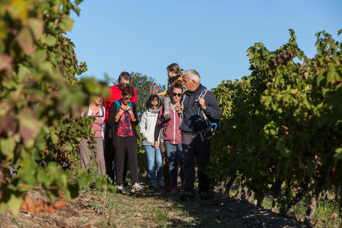 Collioure: Vineyard Tour & Wine Tasting Collioure: Vineyard Tour & Tasting