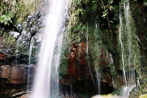 Rabacal Nature Walk: Lakes & Fountains Pickup Funchal, Calheta, Ribeira Brava