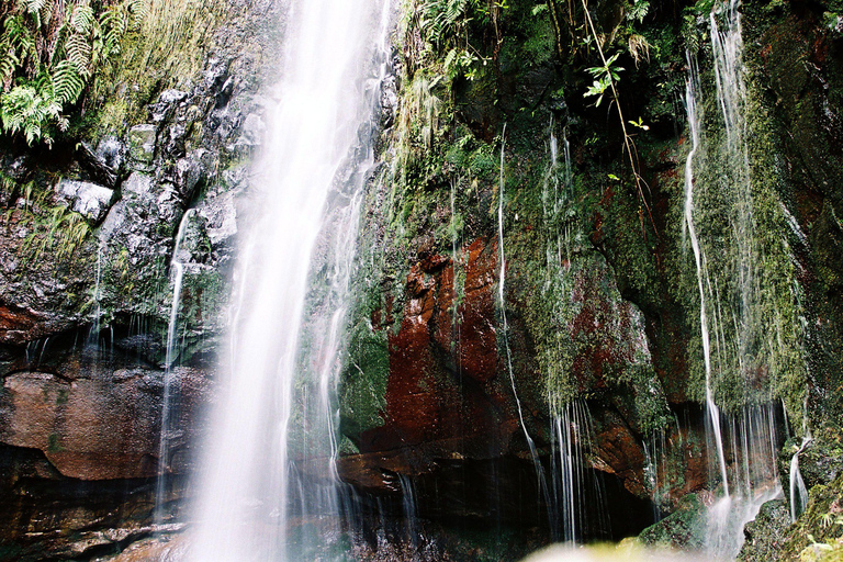 Rabacal Nature Walk: Lakes & Fountains Pickup Funchal, Calheta, Ribeira Brava