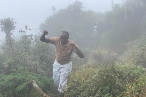 1 Day Mount Bisoke Hiking Adventure Trip, Volcanoes N Park