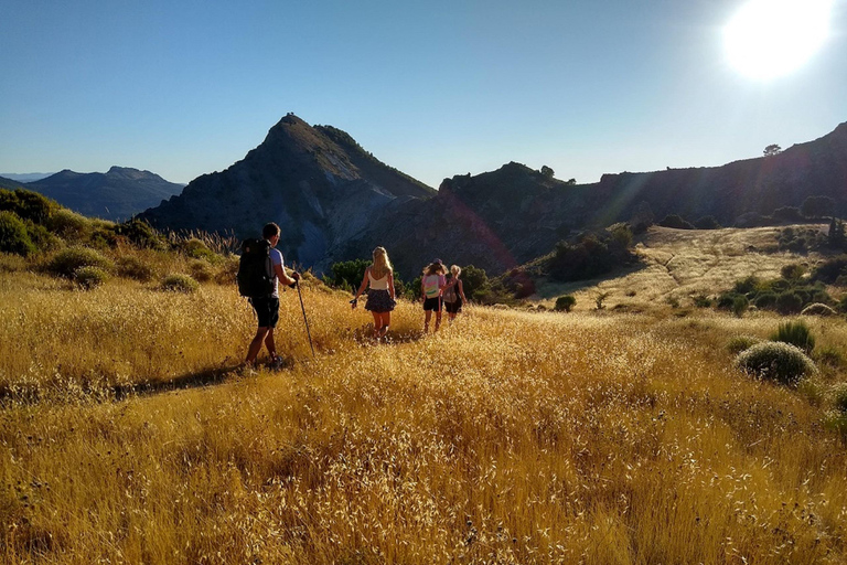 ⭐ Excursión al atardecer y cumbre de Sierra Nevada con cachorro ⭐⭐ Excursión al atardecer y cumbre de Sierra Nevada Excursión privada con cachorro ⭐