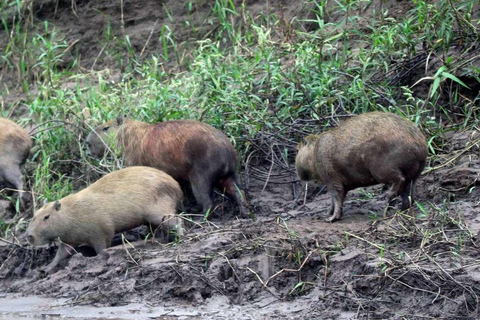 Lago Sandoval Giornata intera
