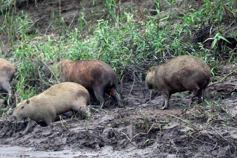 Lago Sandoval Giornata intera