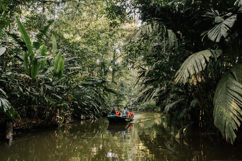 COSTA RICA:UPPTÄCK COSTARICAS VILDA DJUR-STRAND &amp; SKOG 2VECKOR