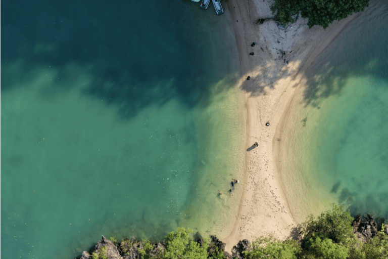 Langkawi: Mangrove Cruise with Eagle Feeding & Beach Swim 3 Hour estimated Mangrove+Beach Swim