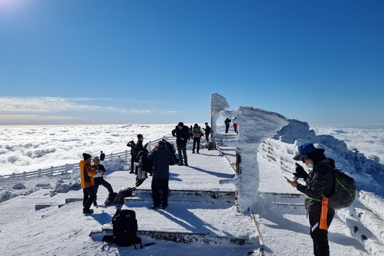 Jeju eiland: Privétour met gids