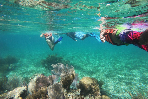 Puerto Morelos: Snorkel in Coral Reef with transportation Tour from Tulum