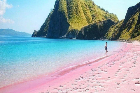 Bali: Komodo Island One Day Trip with Flights and Snorkeling