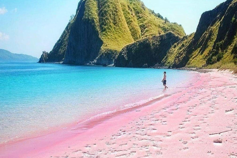Bali: Komodo Island One Day Trip with Flights and Snorkeling
