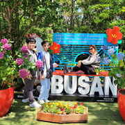 Busan Highlights Day Tour from Seoul by KTX - Blueline Train