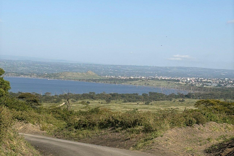 Nairobi: Lake Nakuru National Park Day Trip with Game Drive