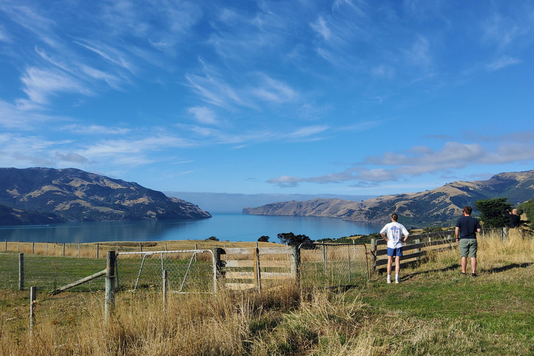 New Zealand: Guided 17-Day South Island Tour with Camping